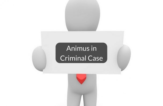 What is Animus