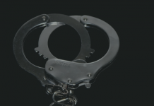 V. Ravi Chandran vs. Union of India & Ors. (2009) false dowry case