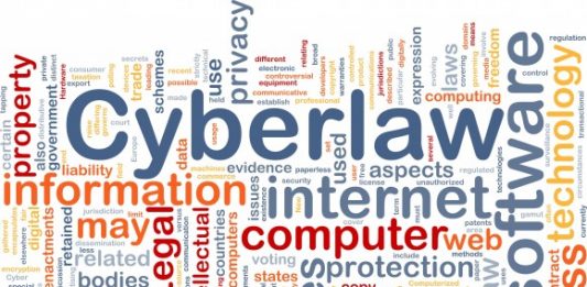 cyber litigation