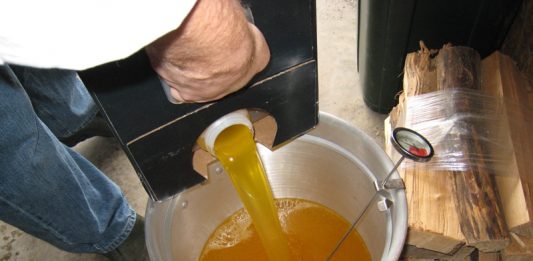 food adulteration