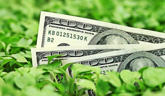 Green Bonds
