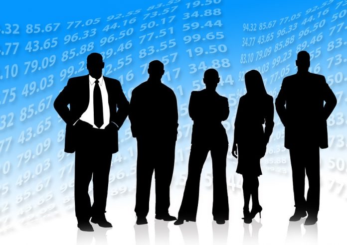 Director of a Private Limited Company