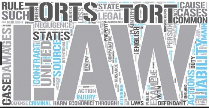 Tortious liabilities of Companies