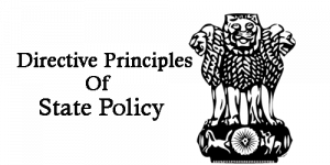 directive principles meaning