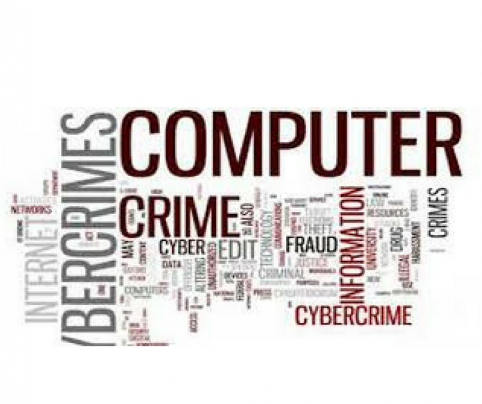 cyber lawyer