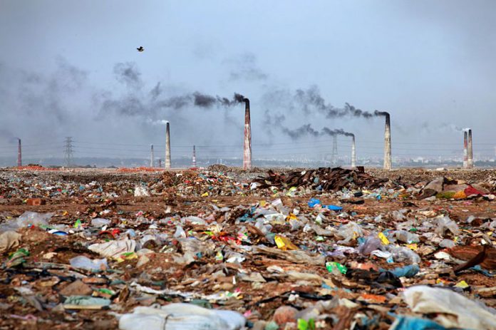environment and constitution