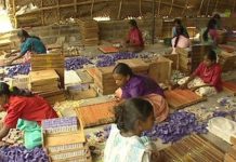 Impact of female labour force on the economic growth of India rights