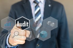 duties of auditor