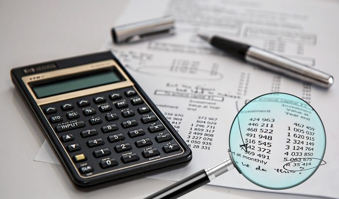 auditor meaning