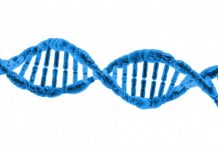 Impact of DNA evidence on criminal investigations : an overview