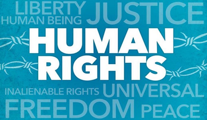 UDHR