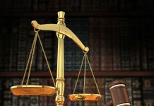 Role of Indian judiciary in protection of the environment Judiciary