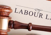 UAE Labour Law labour law