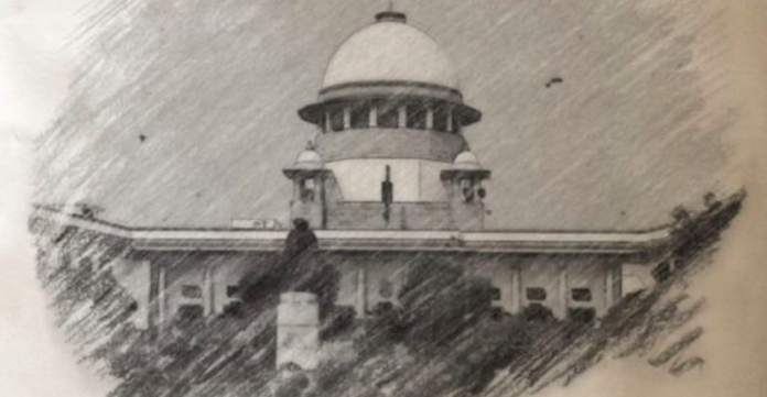 case law
