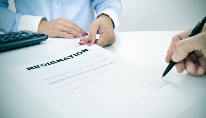 auditors