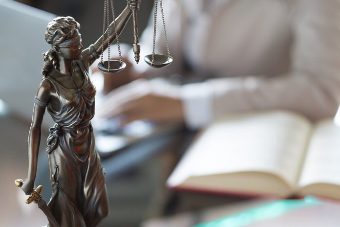 legal minds