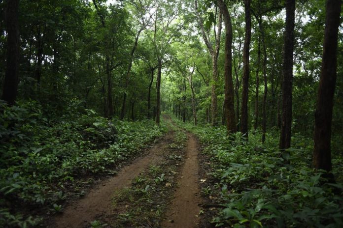 Indian Forest Act,