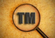 What is cybersquatting in the Indian Trademark Act