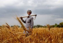 Amendment in Essential Commodities Act : a gift to farmers