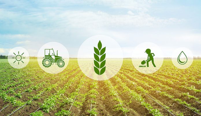 Agriculture and economic development