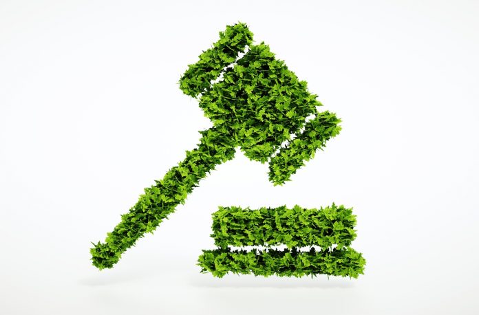 INDIAN JUDICIARY IN ENVIRONMENTAL JURISPRUDENCE
