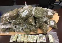 Mohanlal vs. State of Punjab (2018) narcotics