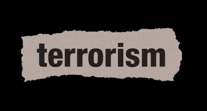 SAARC Convention (Suppression of Terrorism) Act, 1993