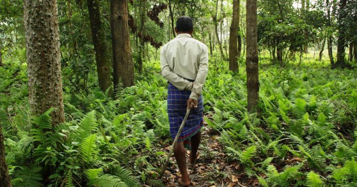 Forest Rights Act in India