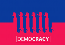 Theories of democracy : all you need to know juristocracy