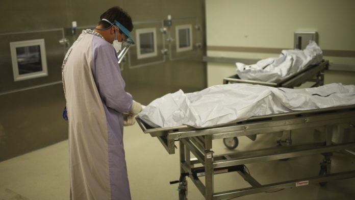 autopsy report in criminal investigation