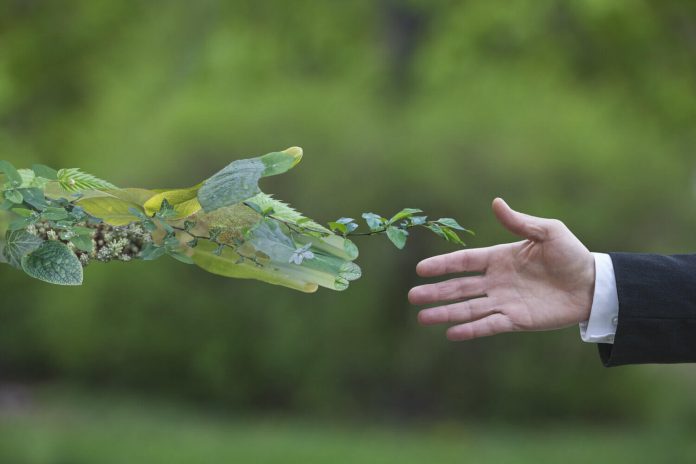 Forest conservation