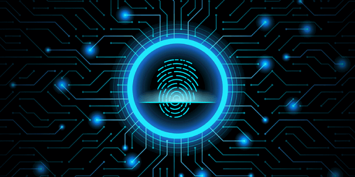 Cyber crimes