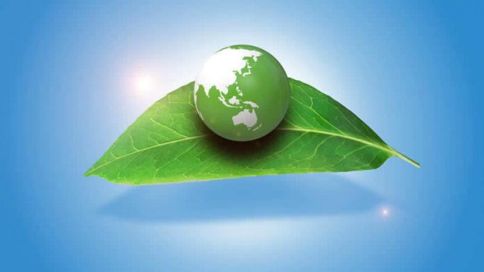 Environment Impact Assessment Draft 2020