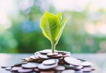 Should companies be held liable for the environmental damage they cause: an analysis