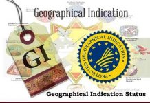 Can GI be used as a developmental tool