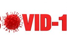 Corporate governance and share performance in light of the COVID-19 crisis Covid 19