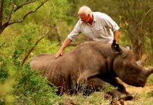 The deteriorating state of wildlife habitat