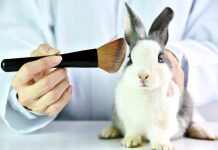 Indian laws against cosmetic testing on animals