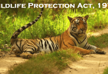 Wildlife Protection Act, 1972 Wildlife Protection Act