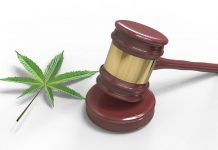 Does cannabis patents lack utility