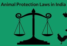 An overview of animal protection laws in India