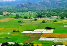 Transfer of land under Section 43 and 63 of the Bombay Tenancy and Agricultural Lands Act, 1948