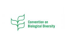 Post-2020 global biodiversity framework of the UN Convention on Biological Biodiversity