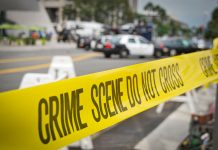 The criminalisation of vehicular homicide: an insight