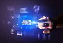 Central bank digital currencies and the global financial system : an overview